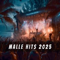 Kai Hartwig - Malle Hits 2025 (Explicit)