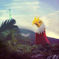 Amentia - L'aventure des plantes