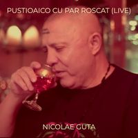 Nicolae Guta - Pustioaico Cu Par Roscat (Live)