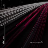 Mully - Stuck In Suspension