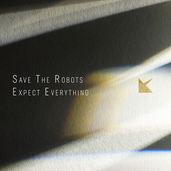 Save The Robots - Expect Everything