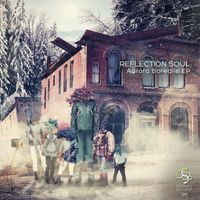 Reflection Soul - Aurora Borealis
