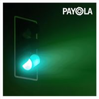 Payola - Everywhere Light Can't See