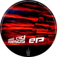 Diego Cid - Friends