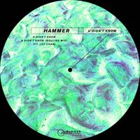 Hammer - U Didn't Know