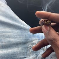 Greed - Mesmerized (Explicit)