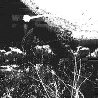 Abicyss - tell me things are well, i won't believe you !!