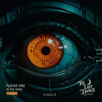Player Vibe - In the Dark