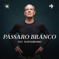 Ney Matogrosso - Pássaro Branco (Canções do espetáculo Entre a Pele e a Alma da Focus Cia de Dança)