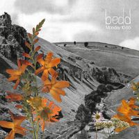 bedd - Monday 10:55 (Explicit)