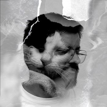 Perception - Perdido