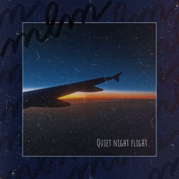 mlm - Quiet night flight
