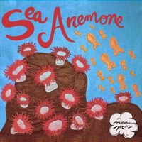 Mount Pom - Sea Anemone