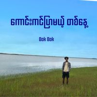 Bok Bok - ကောင်းကင်ပြာမယ့်တစ်နေ့