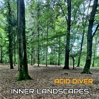 Acid Diver - Inner Landscapes