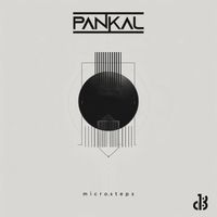 Pankal - Microsteps
