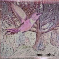 Edu - Hummingbird