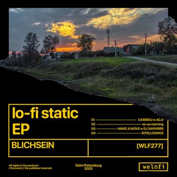 BLICHSEIN - INTELLIGENCE