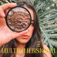Pris - Multidimensional (Explicit)