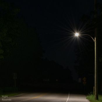 Rosendo - Night