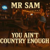 Mr Sam - YOU AIN'T COUNTRY ENOUGH