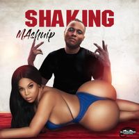 Mashup - Shaking