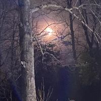 Billy Preston - Hold On (Explicit)