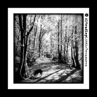 Al Bradley - Little Treasures