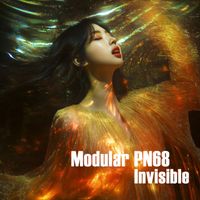 Modular PN68 - Invisible