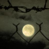 Amnesty - Solace (Explicit)