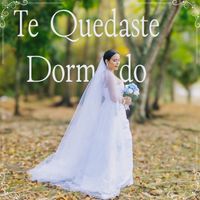 Artemis - Te Quedaste Dormido