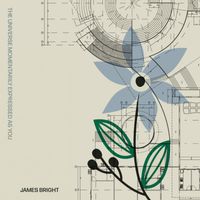 James Bright - The Universe Momentarily Expressed As You