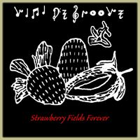 Vini De Groove - Strawberry Fields Forever (Brazilian Style)