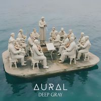 AURAL - Deep Gray