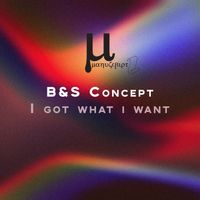 B&S Concept - I got what i want