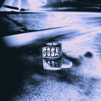 Mr. Sosa - Undetected Plagiarism
