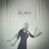 Burn - Free Fall (The Remixes)