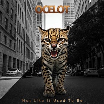Ocelot - Not Like It Used To Be