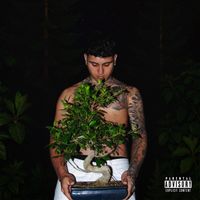 Trast - Bonsai (Explicit)