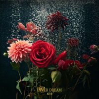 Extra Butter - Fever Dream (Explicit)