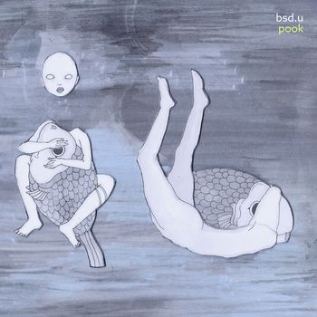 [bsd.u] - pook (Explicit)