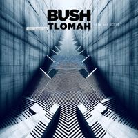 Bush - The Land of Milk and Honey (Explicit)