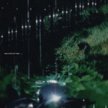 Paul Cut - Ecotonal