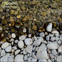 Dominik Rueegg - Opposites