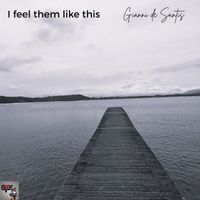 Gianni de Santis - I Feel Them Like This