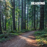 Seasons - contemplation