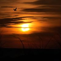 Lindy - A Little of Me