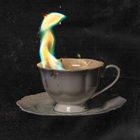 Marottes - Incendium