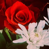 Ken Martin - A Song for Jolene