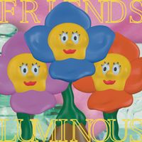 FRIENDS - LUMINOUS